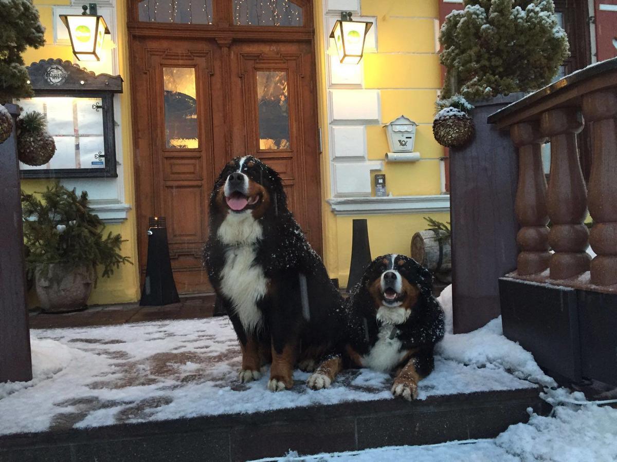 Hotel Gasthof Post Фуш-ан-дер-Гросглокнерштрассе Экстерьер фото